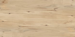 Керамогранит Buono Ceramica Forest Sweet Home Matt арт. FVL4511M (60x120) матовый